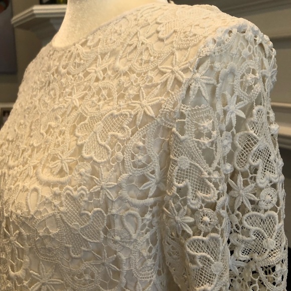 ZARA | Lace Flared Sleeve Top - Picture 7 of 12